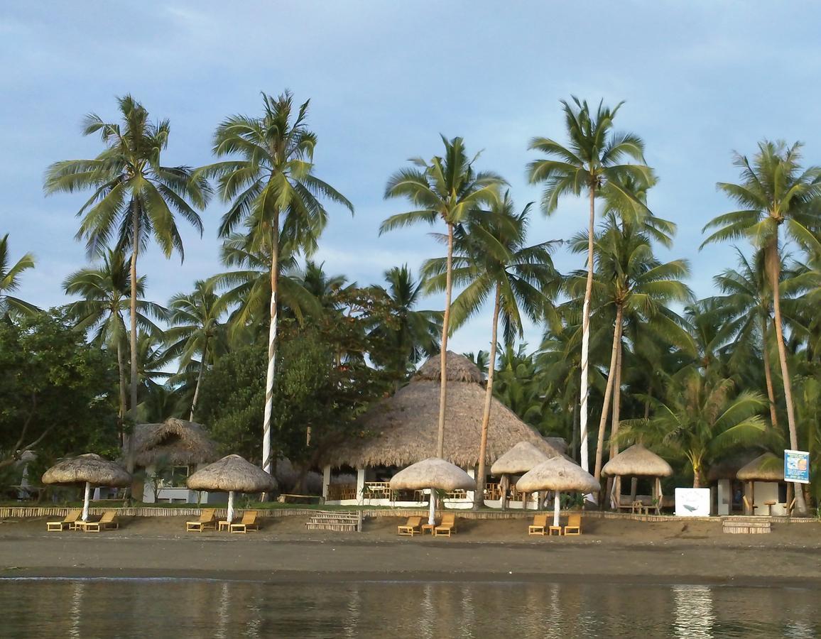 Elysia Beach Resort Donsol Exteriör bild